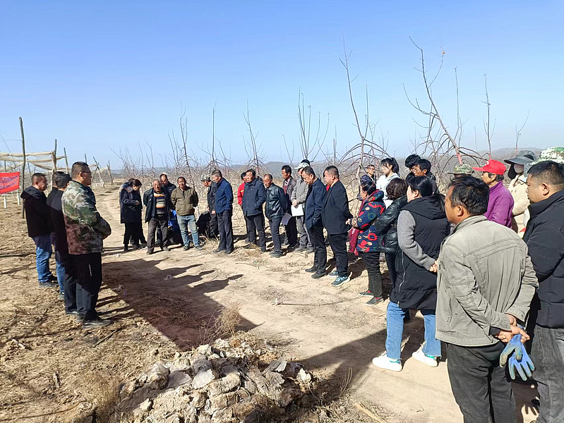 地膜回收，共筑綠色家園 環(huán)境保護(hù)專用設(shè)備的技術(shù)突破與社會(huì)意義